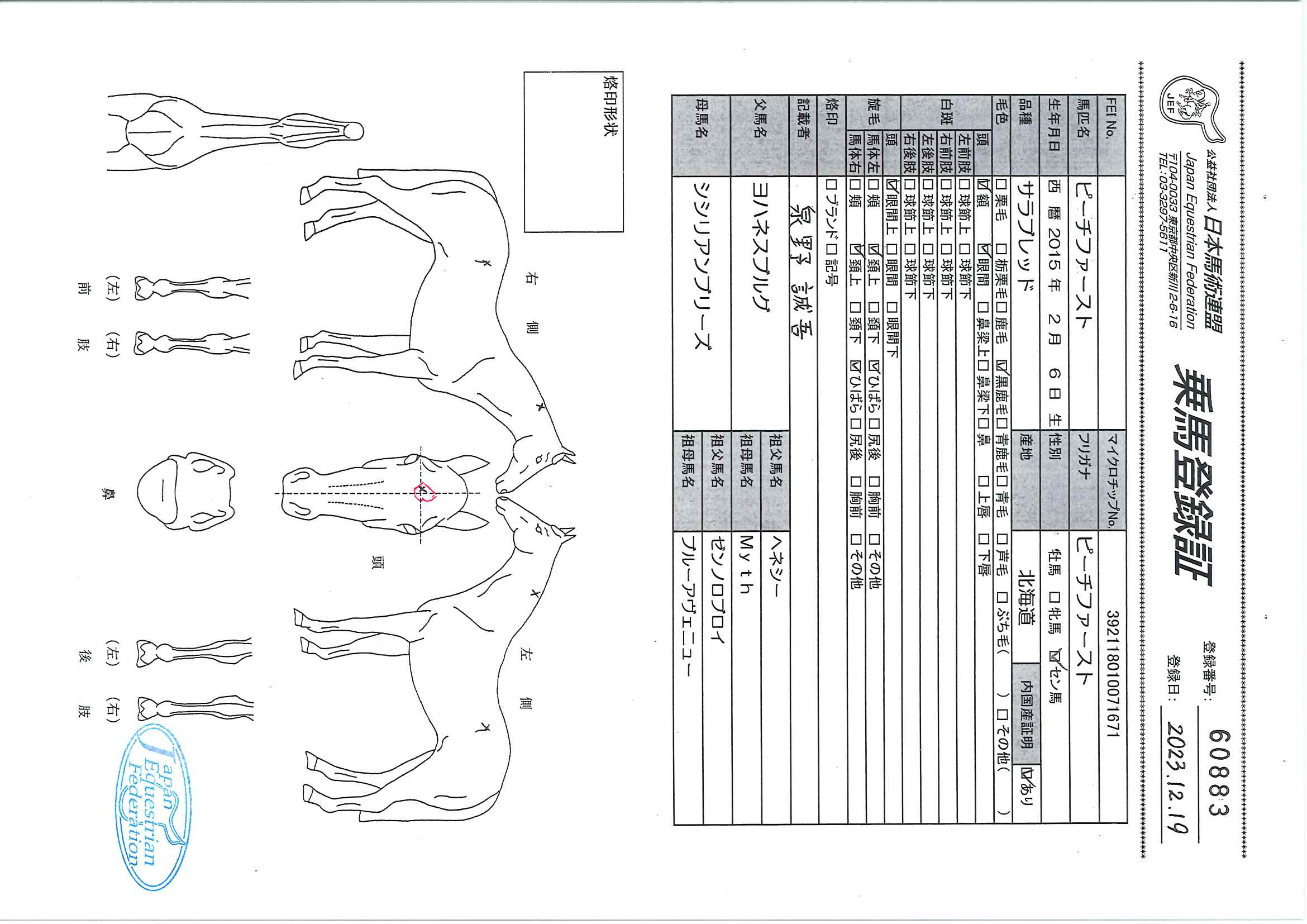 乗馬登録証