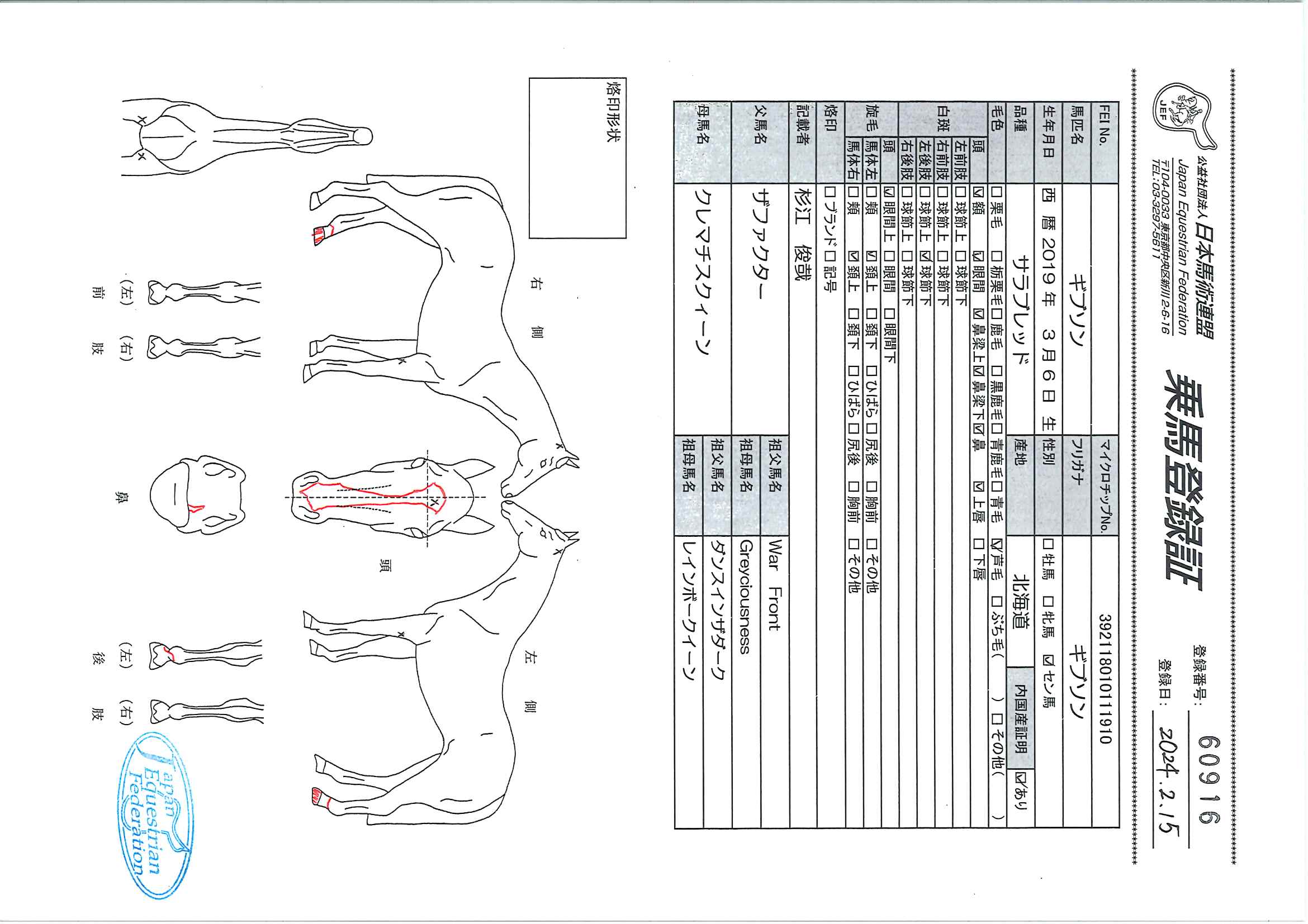 乗馬登録証