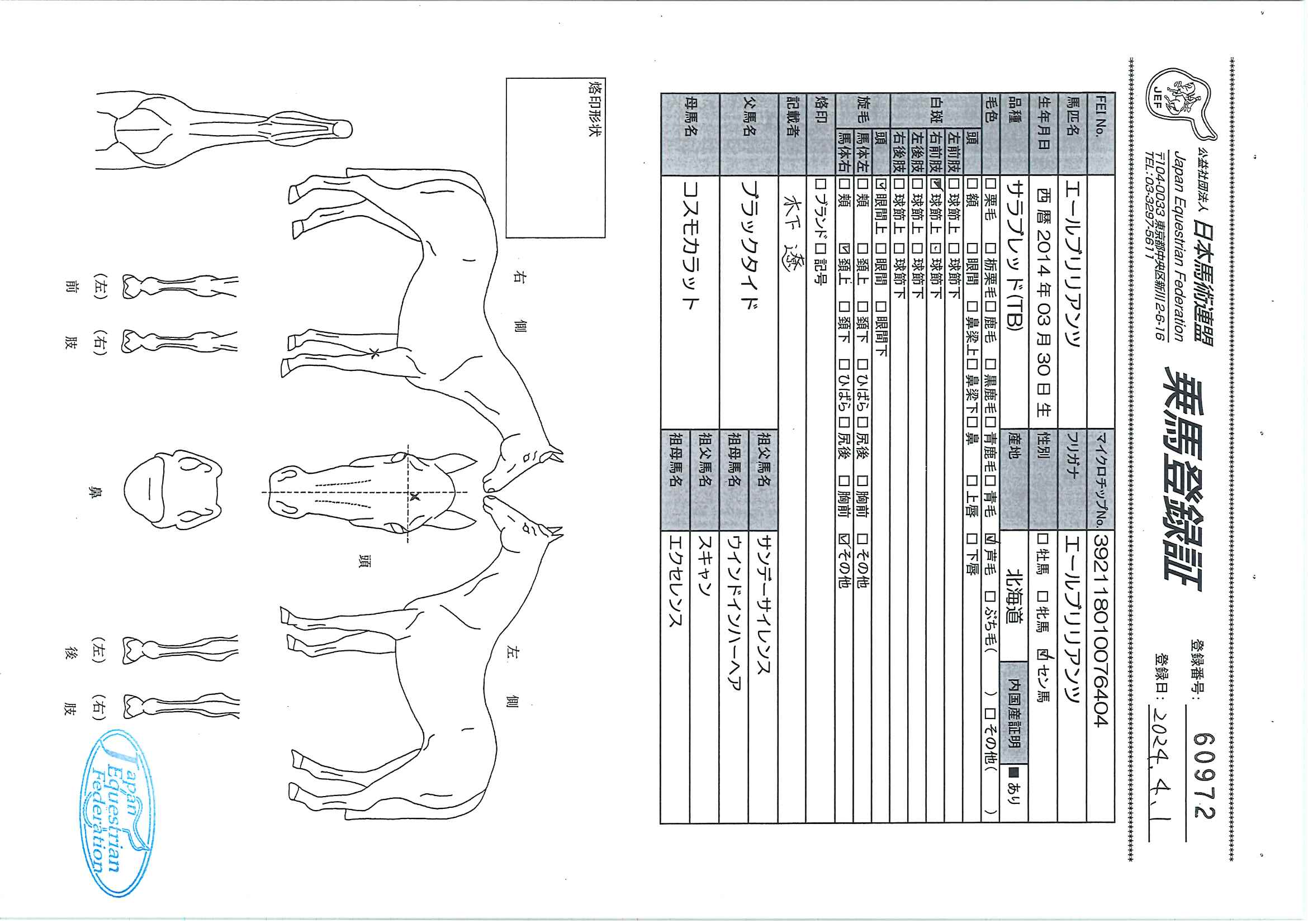乗馬登録証