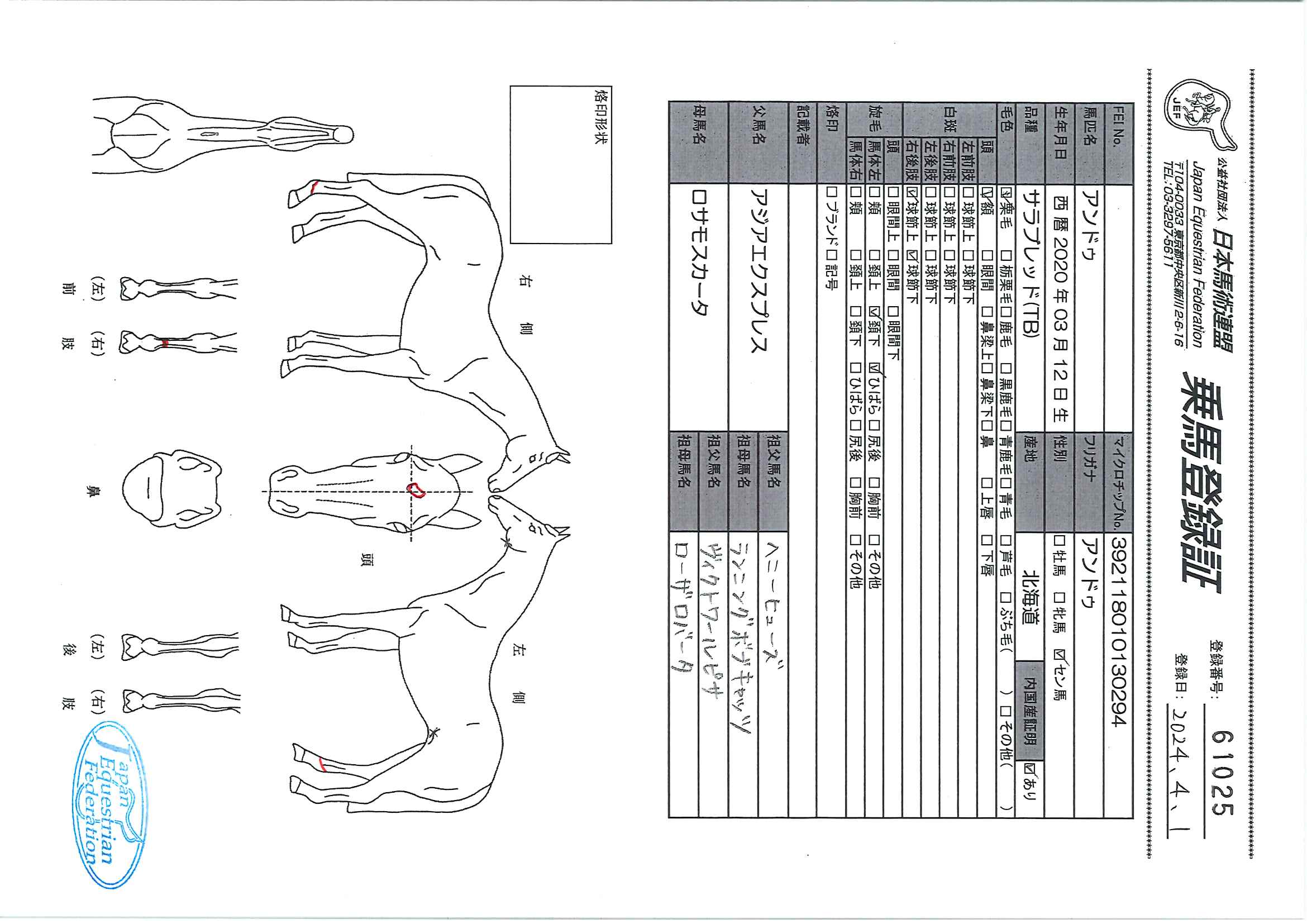 乗馬登録証