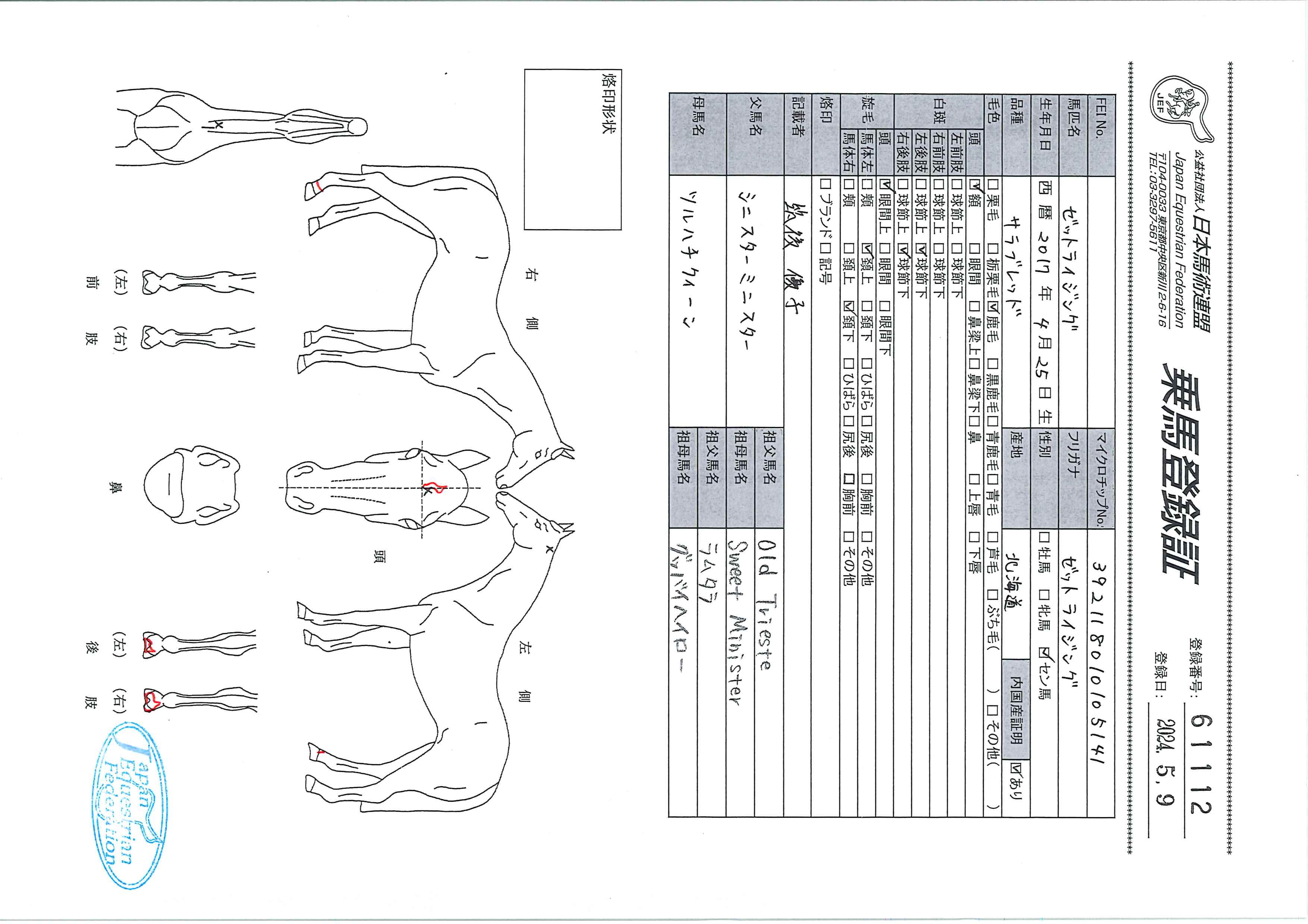 乗馬登録証