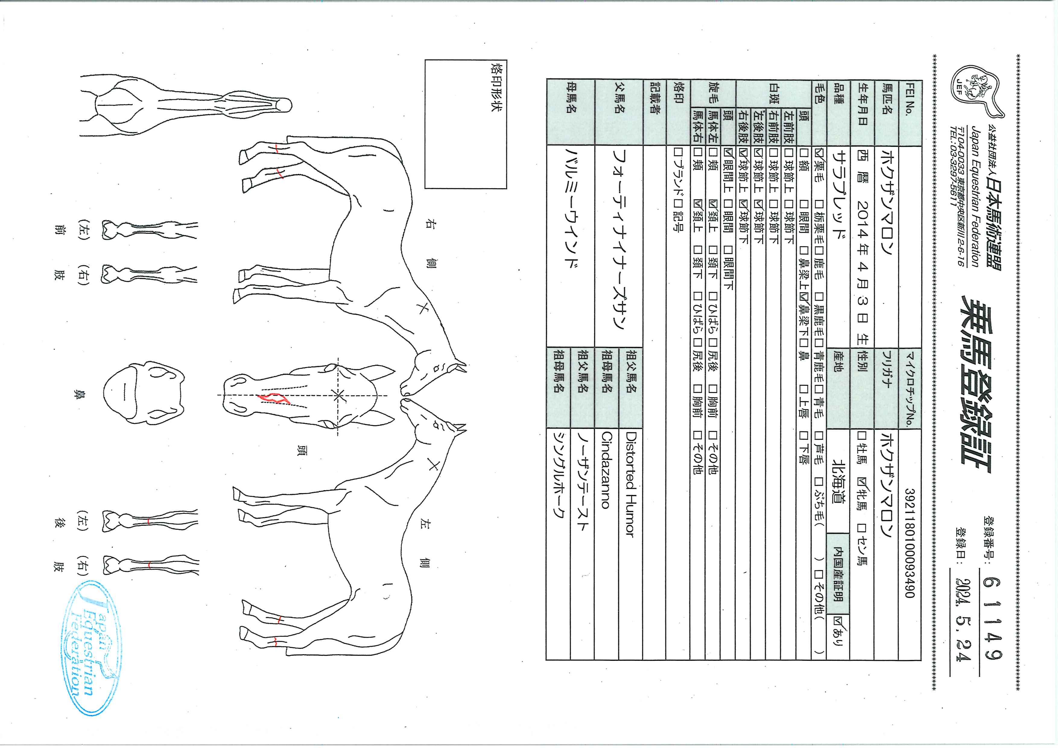 乗馬登録証
