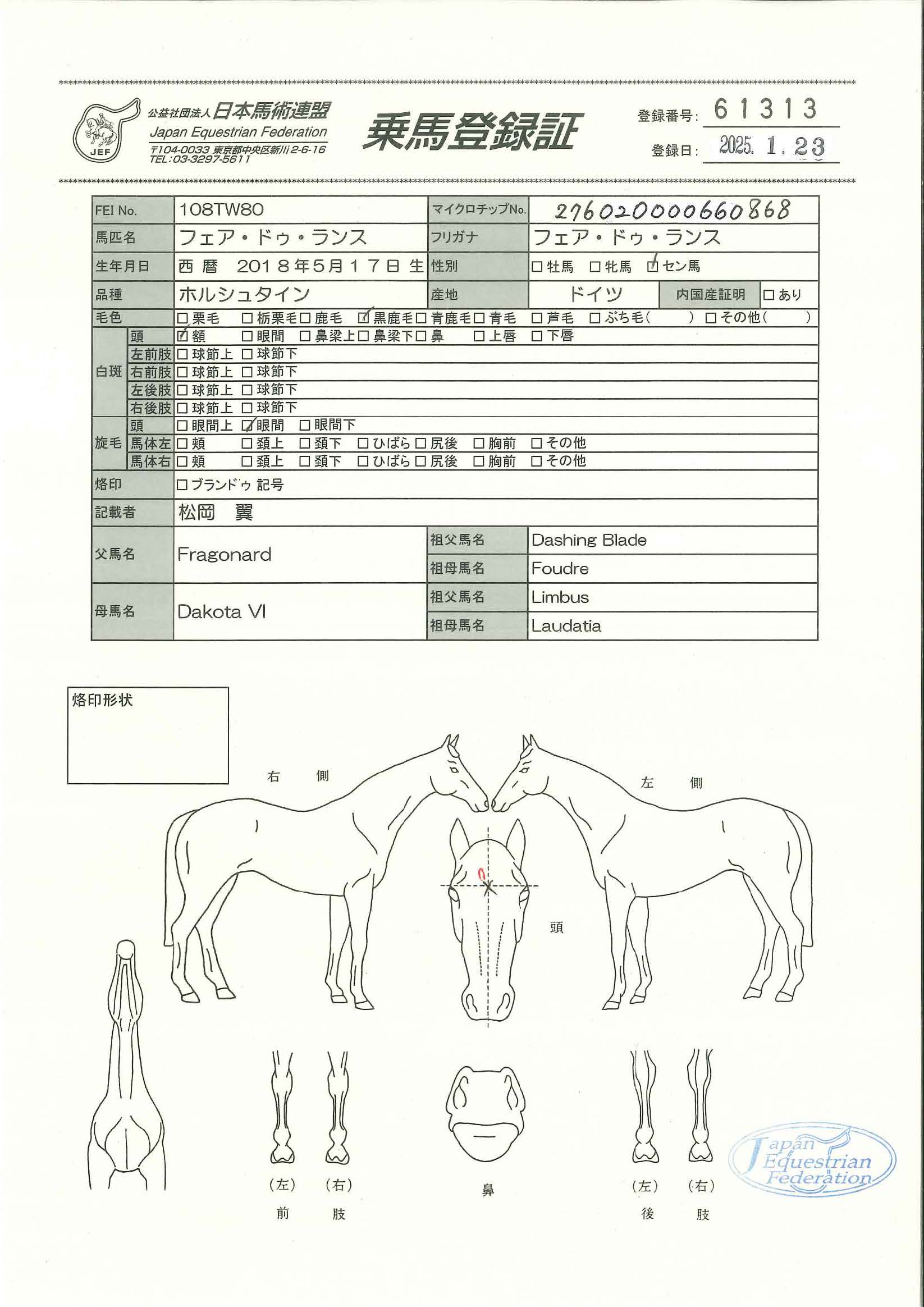 乗馬登録証