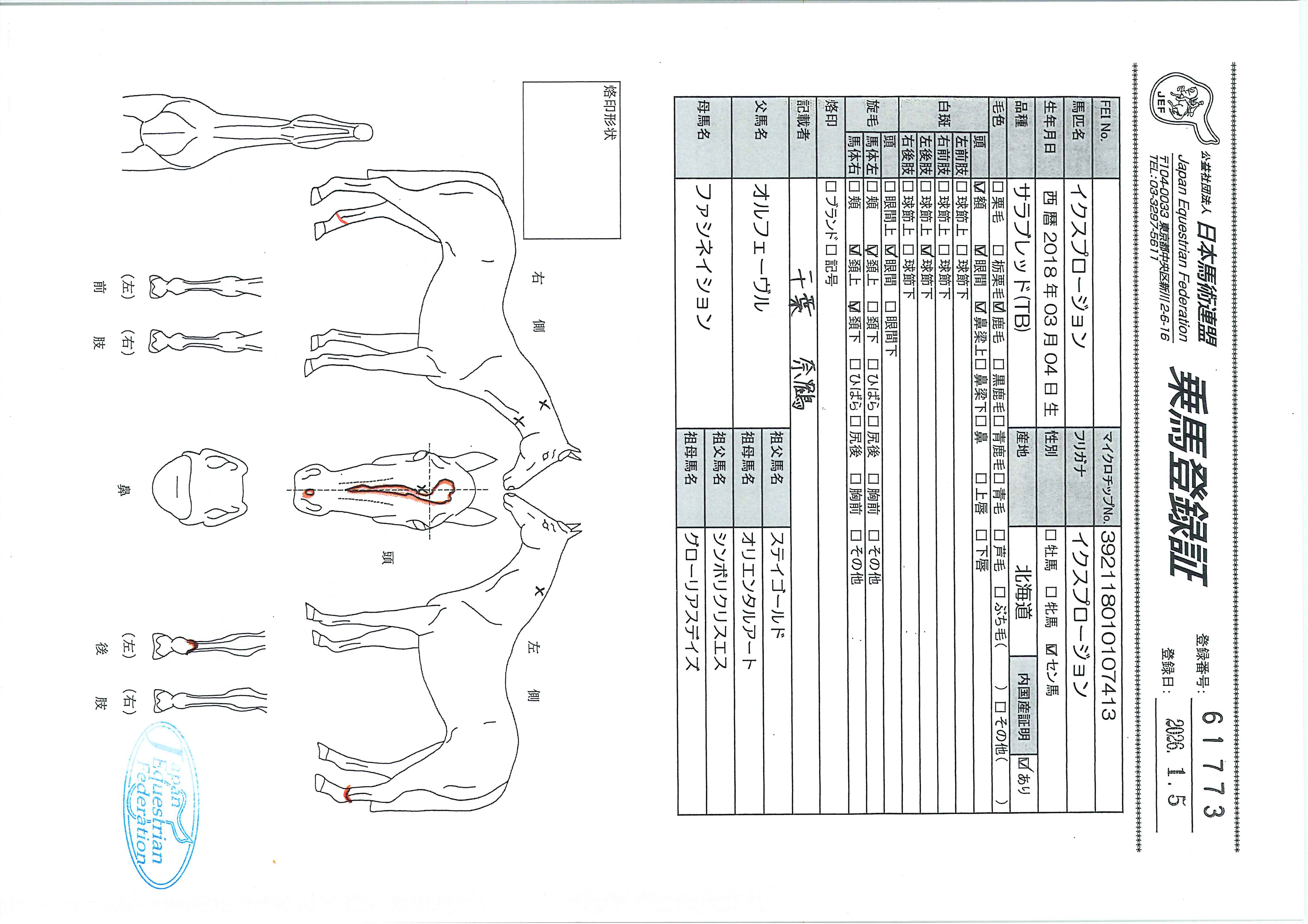 乗馬登録証