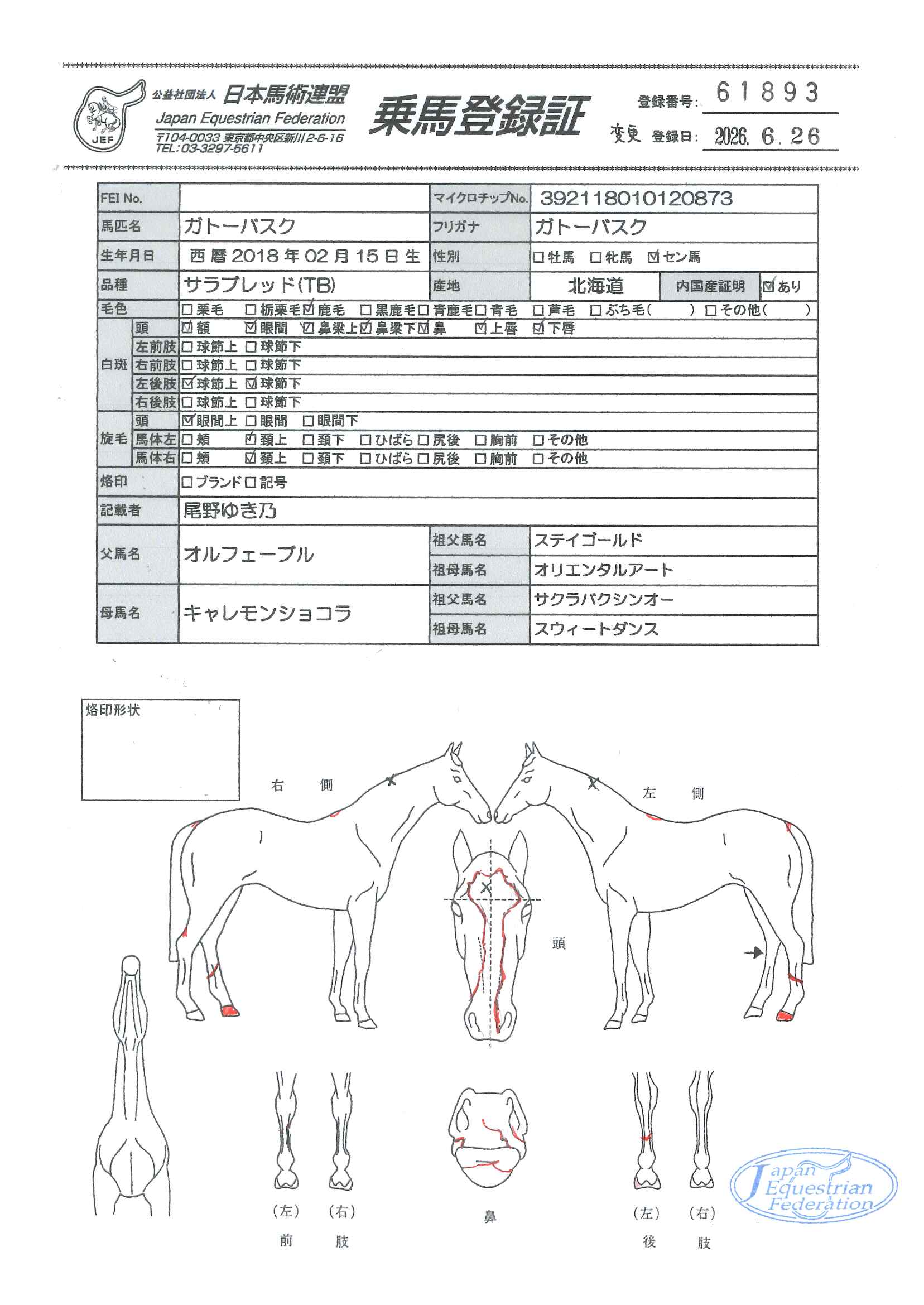 乗馬登録証