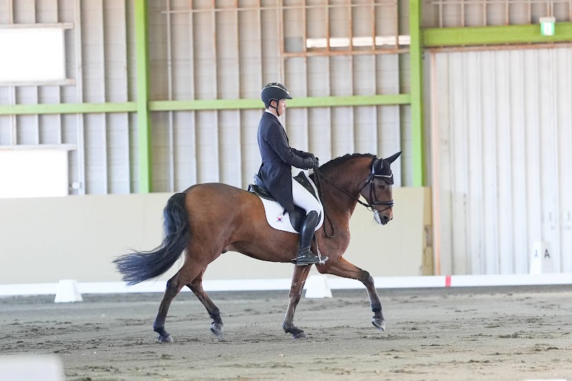 公益社団法人 日本馬術連盟 《Japan Equestrian Federation