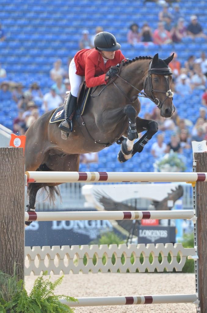 公益社団法人 日本馬術連盟 Japan Equestrian Federation 日本馬術連盟 日馬連 馬術連盟 公益社団法人 日本馬術連盟