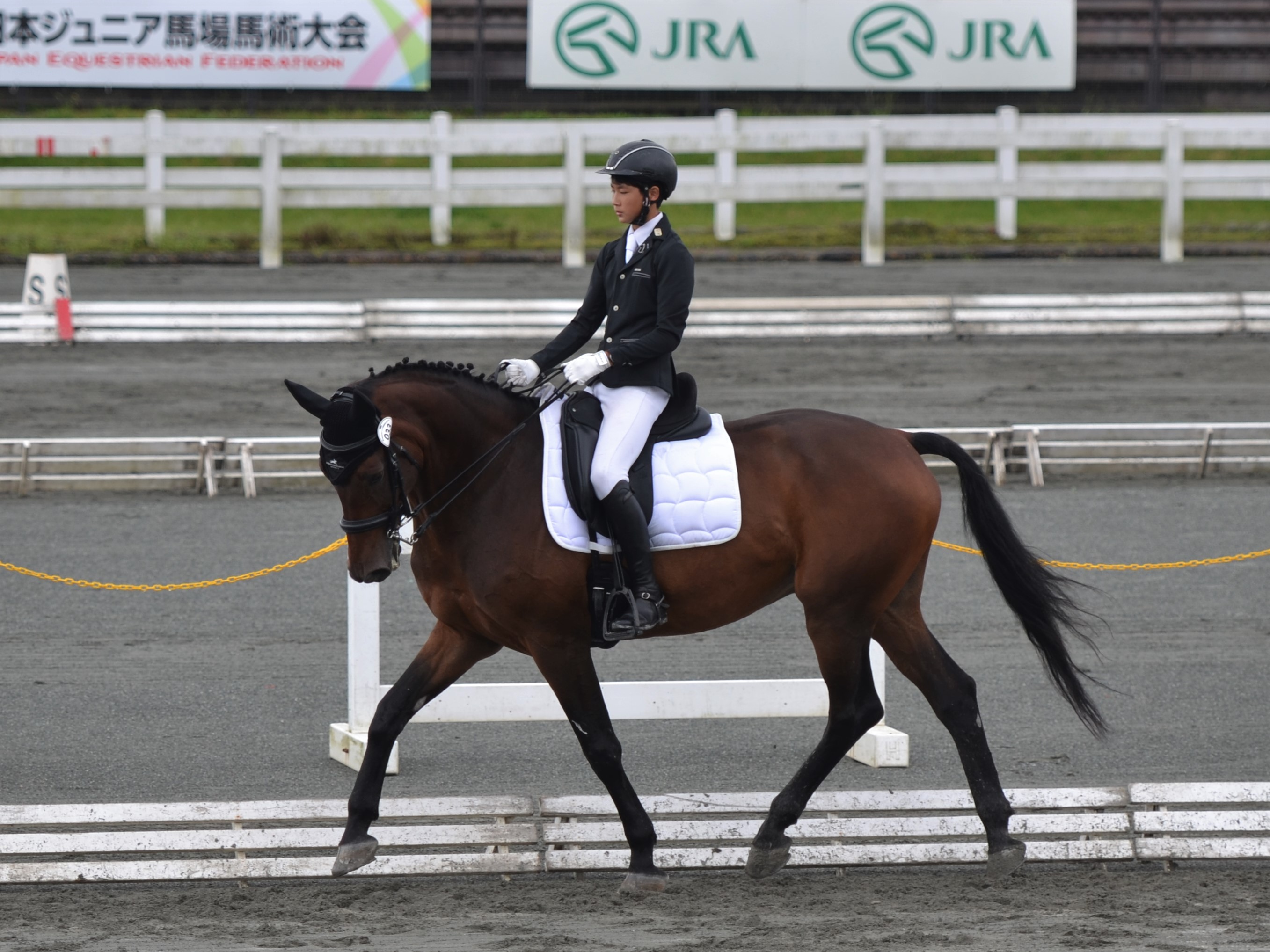 室外 NOEL ASMAR EQUESTRIAN ノエルアスマール コート 乗馬 | www